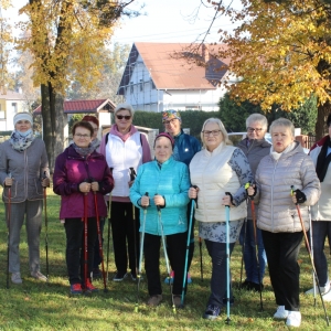 Zajęcia ruchowe na zewnątrz - wyjście z kijkami